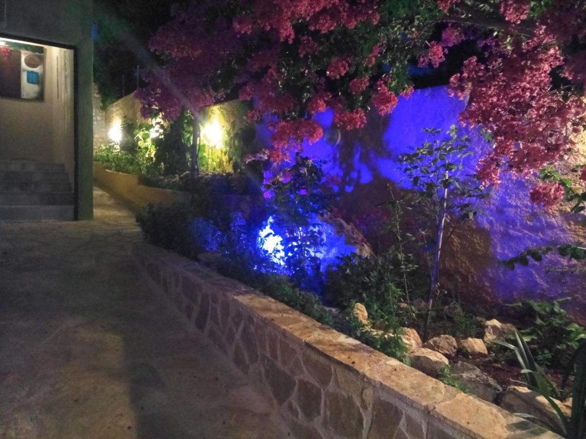 Vília Xenonas Κithαiron酒店 外观 照片